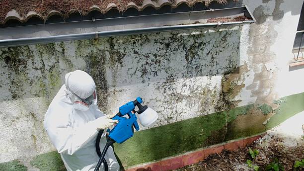 Top rated local Mold Removal specialists in Columbia, TN
